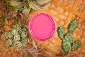 Silk Paint – Prickly Pear