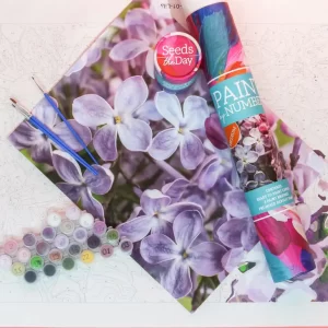 Paint By Number Painting Kits