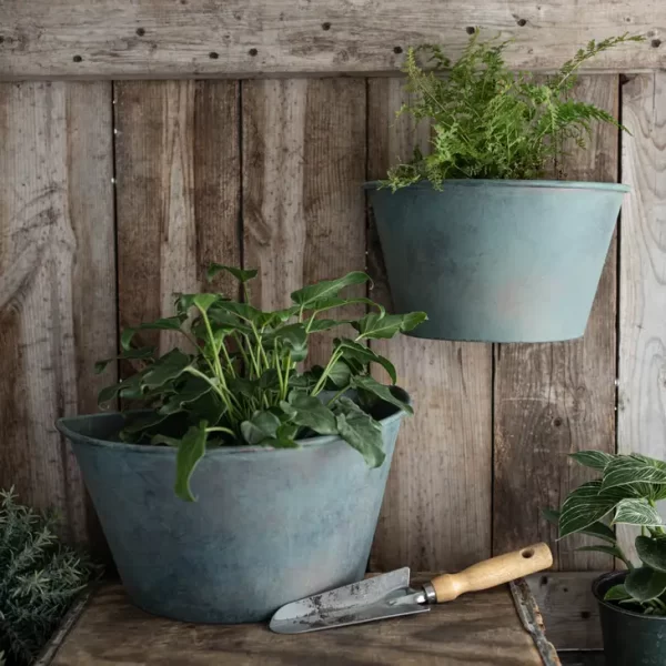 Abeline Wall Planters