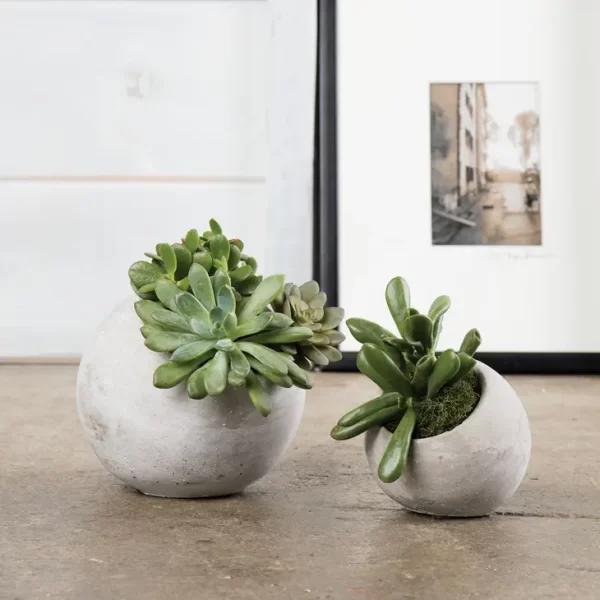 Round Cement Planter