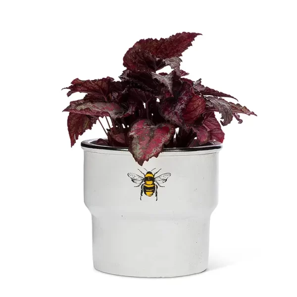 Md Rimmed Planter W/Solo Bee-4.5" H