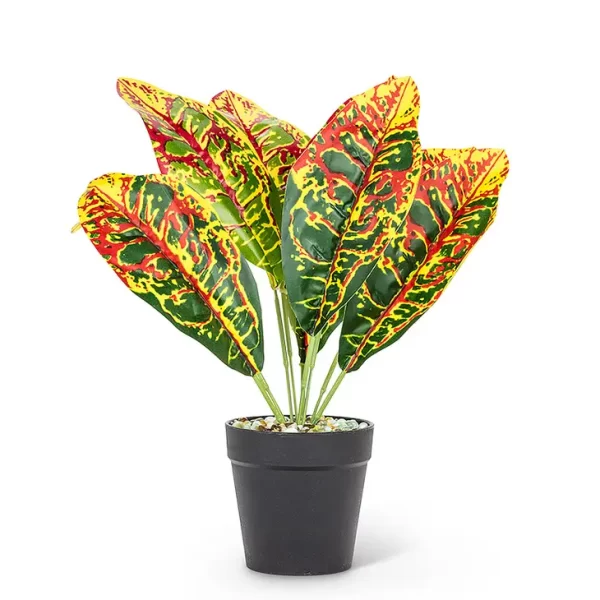 Md Red/Ylw Leaf Plant-12" H