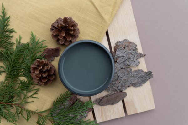 Smoky Mountains Silk All-In-One Mineral Paint