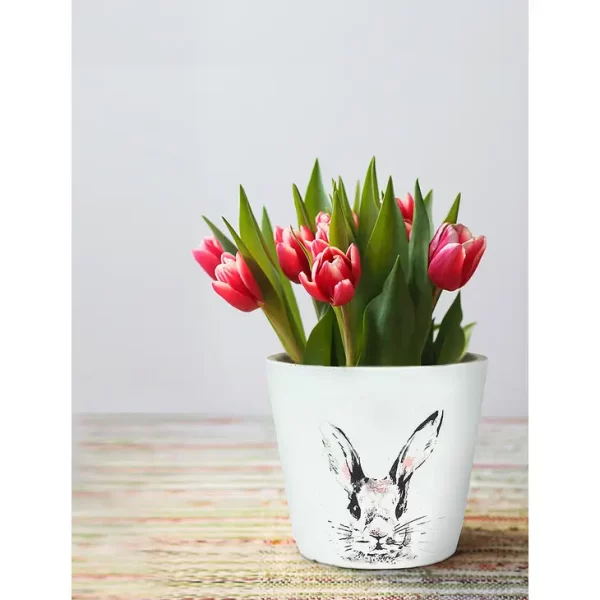 Lg Bunny Head Planter-6"H