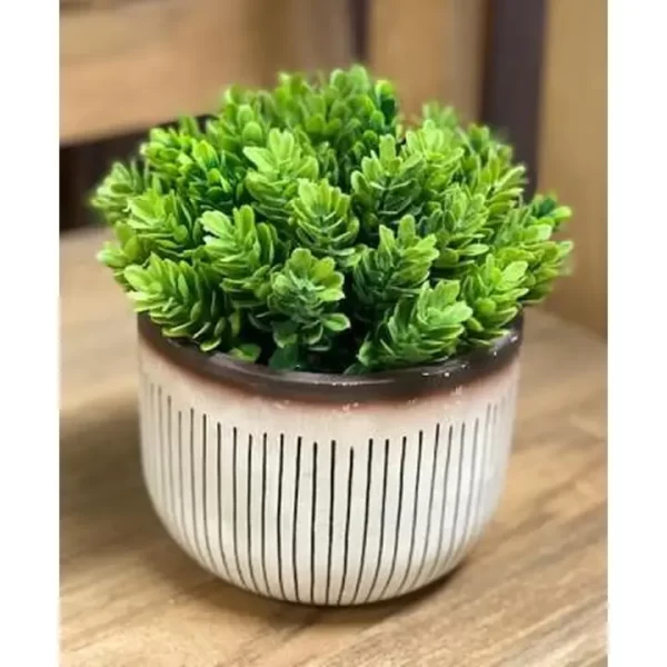 Potted Greenery in Cement Stripe Planter