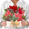 Birch Poinsettia ( Pop-Up Greeting Cards) - Image 3