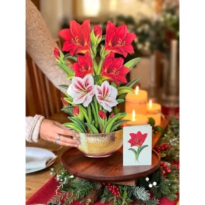 Scarlet Amaryllis ( Pop-Up Greeting Cards)