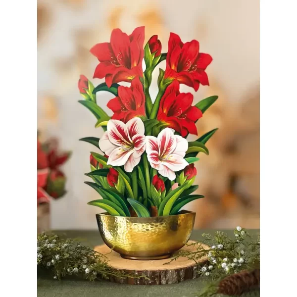 Scarlet Amaryllis (Pop-Up Greeting Cards)