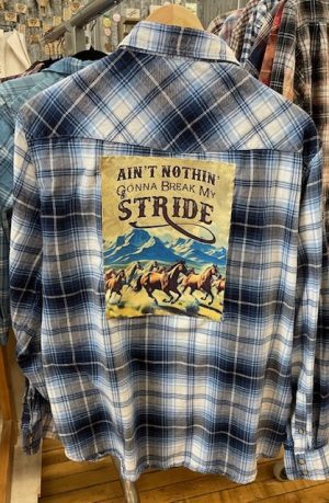 Ain't nothing gonna break me