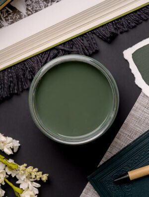 Dixie Belle Chalk Paint Briar Patch