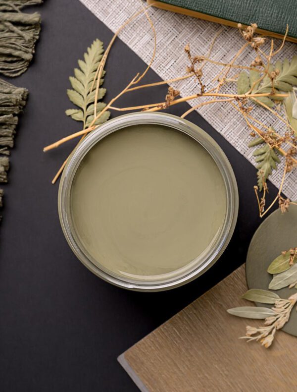 Chalk Dixie Belle Paint Thicket
