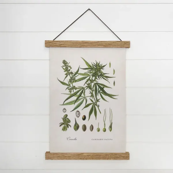 Cannabis Marijuana Vintage Botanical Print Canvas Wood Frame