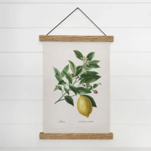 Lemon Art- Vintage Lemon Framed Hanging Canvas- Kitchen Art