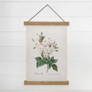 Encyclopedia Art Print- Botanical Noisette Rose Framed Sign