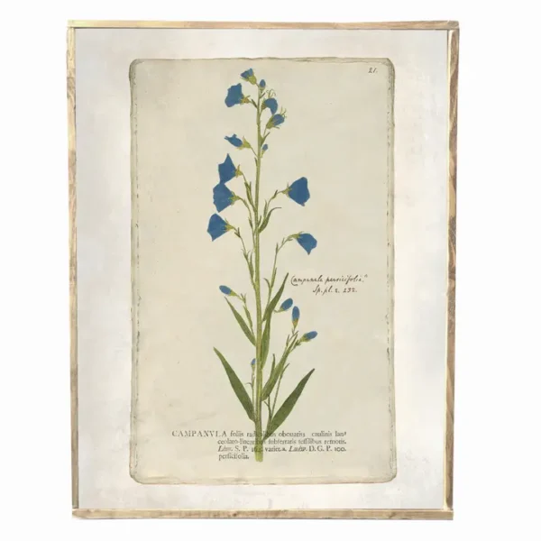 Vintage Spring Blue Floral Print, Wall Decor