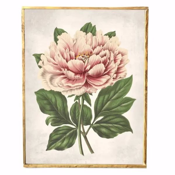 Vintage Style Print, Pink Peony, Spring Art, Wall Decor