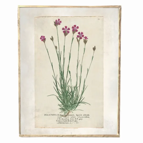 Vintage Spring Pink Floral Print, Wall Decor