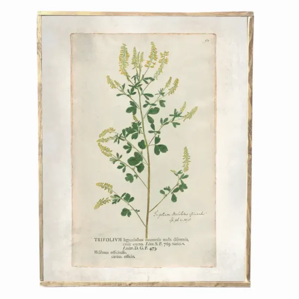 Vintage Spring Floral Print, Wall Decor