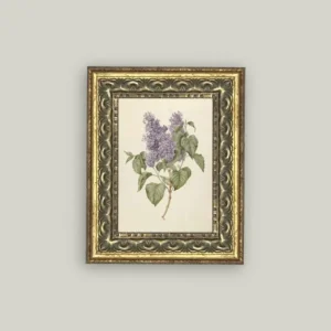 Lilac Branch Framed Antique Art