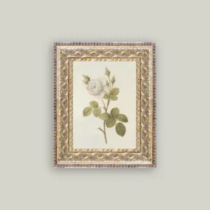 Misty Rose Framed Antique Art