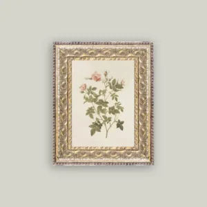 Rosa Framed Antique Art