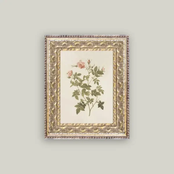 Rosa Framed Antique Art