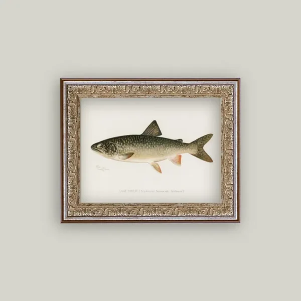 Lake Trout Framed Antique Art