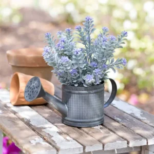 Mini Watering Can