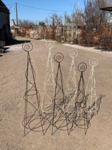 Torbellino topiary (color may vary)