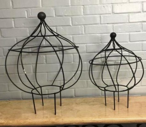 Maussan topiary with ball