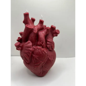 Anatomical Heart Candle