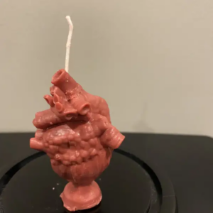 Anatomical Heart Small