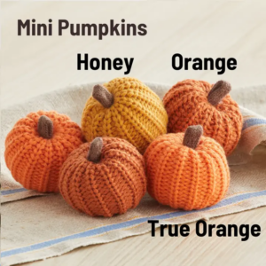 Colorful Pumpkin Knit Fall Home Decor